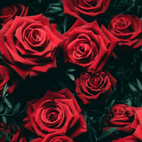 Bàn tranh treo tường xếp gọn hình hoa hồng đỏ
